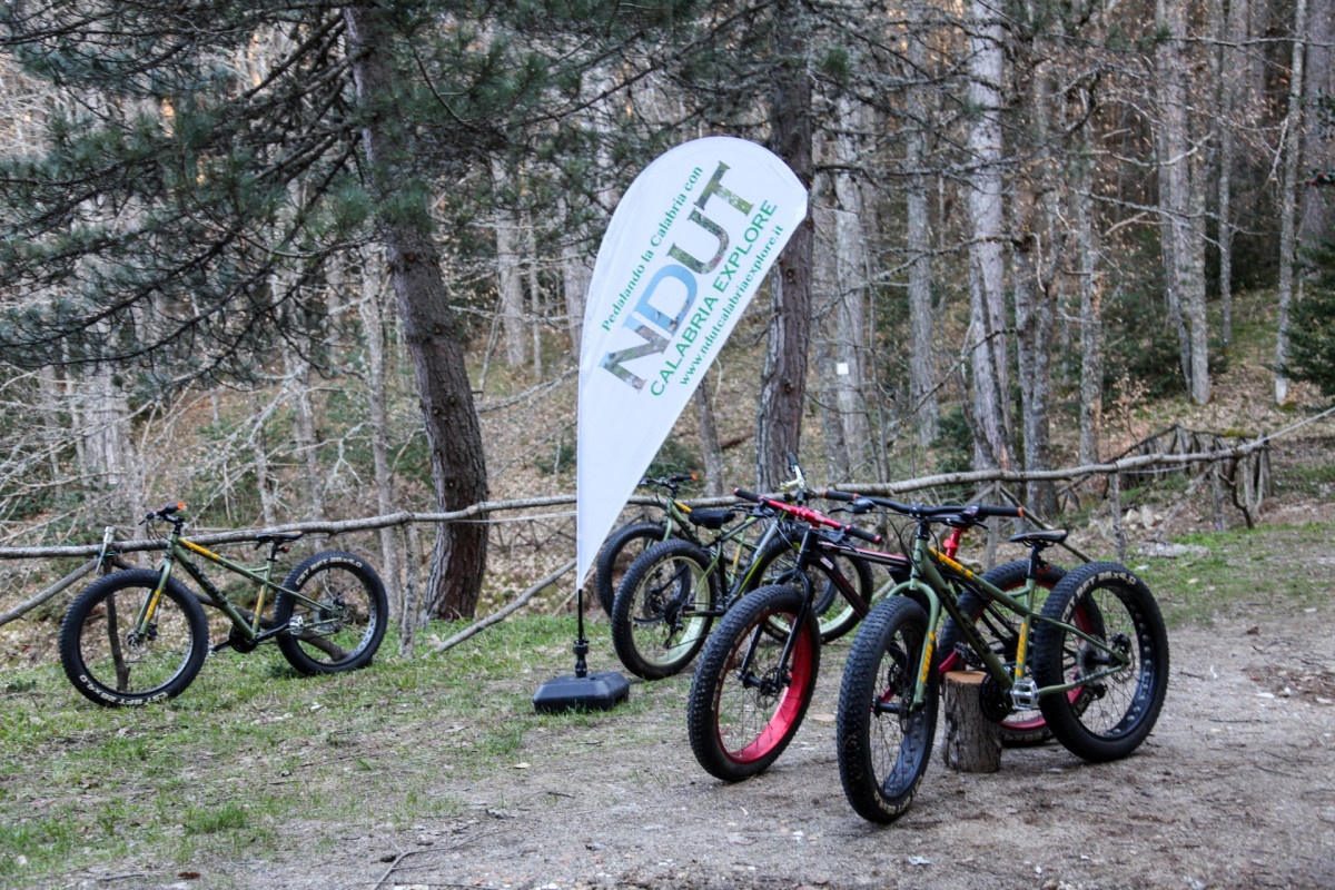 ASD TMC360 Sport