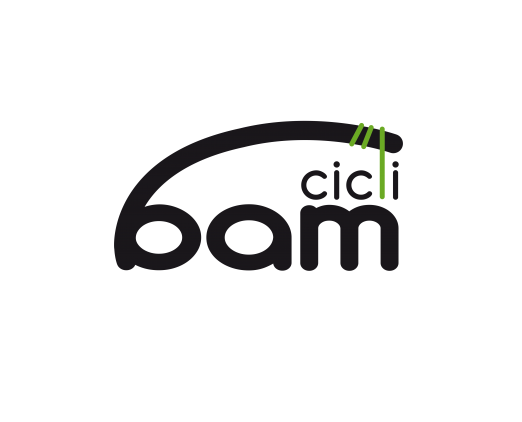 Bam cicli di Christian Ancione