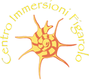 Centro Immersioni Figarolo S.n.c.