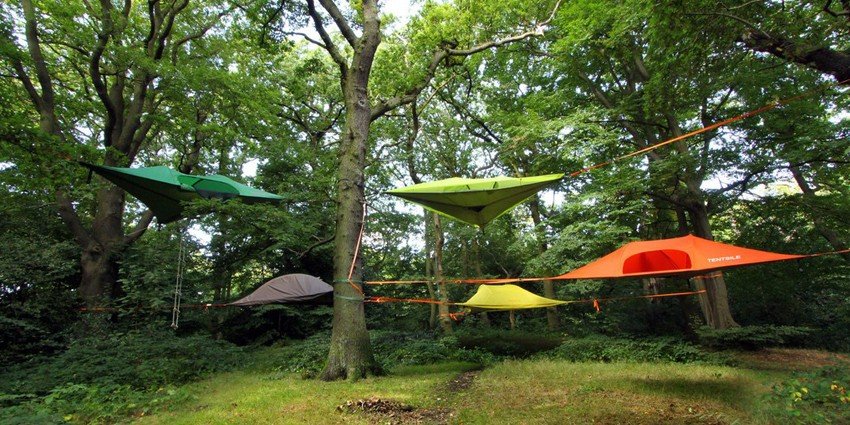 Forestalp Natura in Movimento Tour Operator