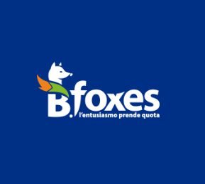 SCUOLA SCI & SNOWBOARD B.FOXES